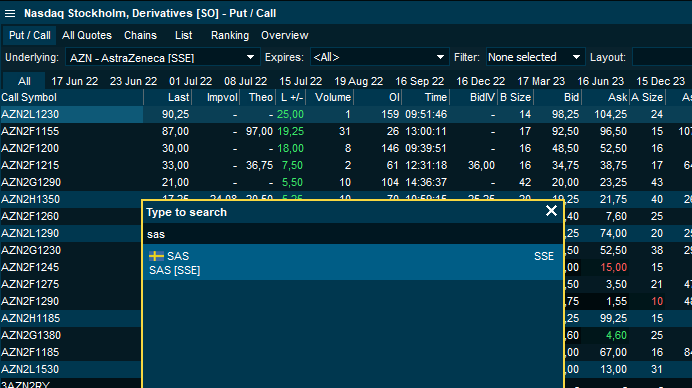 new_search_tool_for_options_in_put_call_window_EN.png
