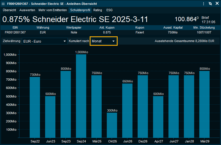 bond_overview_debt_profile_DE.png